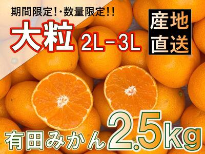 和歌山県産 有田みかん 大粒サイズ 2.5kg 【先行予約】