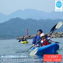 【ふるさと納税】 ファミリー向け　新居大島シットオントップカヤック体験　1/2DAY（大人2名・子供2名）