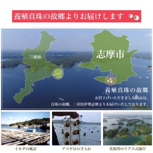 老舗の真珠専門店・高品質アコヤ真珠ネックレスセット7.5～8.0ミリ （イヤリングセット） / あこや ネックレス 真珠 伊勢志摩 志摩 アクセサリー ギフト パール 母の日 入学式 卒業式 結婚式 