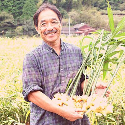 ふるさと納税 四万十町 有機黄金生姜の味わいセット　Ftf-03 |  | 01