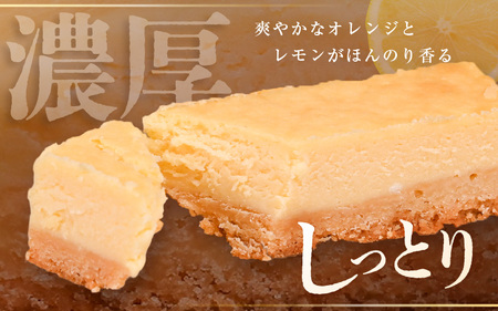 【2026年7月発送】【訳あり】濃厚スイーツ チーズケーキ スクエア 2個【デザート  洋菓子 クッキー 冷凍】 [e44-a014_07]
