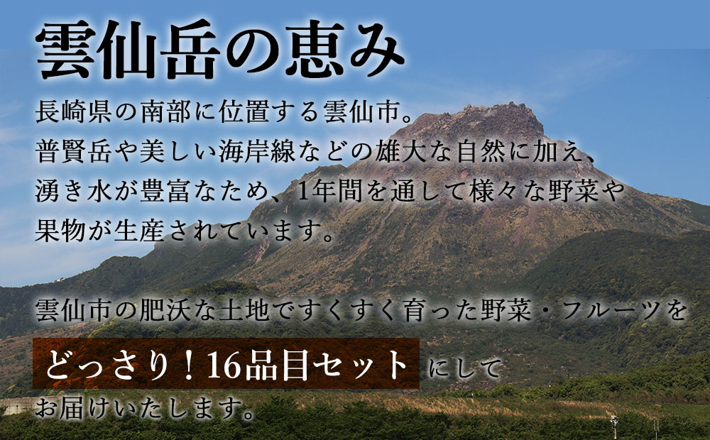 定期便 12回コース 贅沢 野菜 セット どっさり 16品目以上 季節の野菜 フルーツ キノコ 詰め合わせ [吉岡青果 長崎県 雲仙市 item1270] 