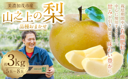 《先行予約》 山之上の梨 （ 品種はおまかせ ） 約3kg（ 5～8玉 ） 愛甘水・幸水・豊水・あきづき・秋のほほえみ・甘太 なし フルーツ 冷蔵 岐阜県産 国産 岐阜県 美濃加茂市 送料無料 【2026年8月下旬～10月上旬発送予定】