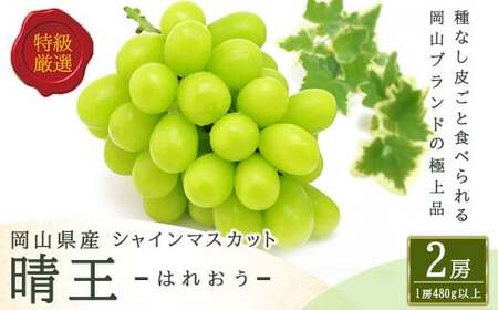 シャインマスカット 晴王 2房 （1房480g以上） 化粧箱入り 【2026年8月下旬～11月上旬迄発送予定】／ マスカット 葡萄 ぶどう 果物 果実 フルーツ 種なし 皮ごと 大粒 岡山県 美咲町 冷蔵