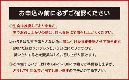 幻のハラミ これが和牛のハラミ（横隔膜）です 【2025年6月上旬～下旬発送予定】 黒毛和牛 和牛 ハラミ 上ハラミ 肉 お肉 高級 サシ 焼肉 BBQ 希少 新鮮 国産 九州産 冷蔵