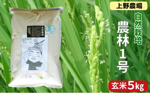 
                  上野農場 自然栽培農林1号 玄米5kg お米 米 玄米 新潟市
                