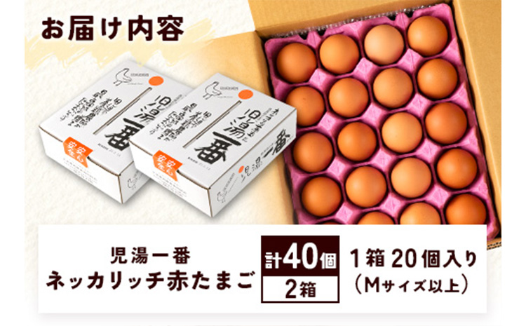 ＜児湯養鶏自慢の卵 ＞ネッカリッチ赤たまご「児湯一番」計40個（20個入×2箱）【B19】