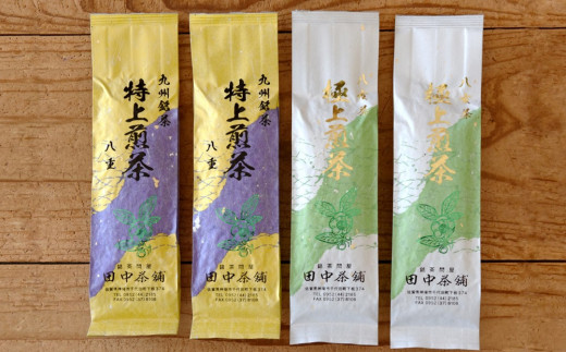 
八女茶「極上煎茶」2本・九州銘茶「特上煎茶」八重2本飲み比べセット 【佐賀県産 銘茶 嬉野茶 知覧茶 まろやか コク 香り お徳用】(H047101)
