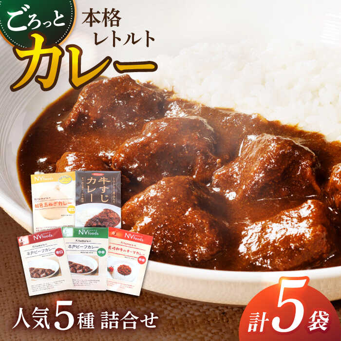【ふるさと納税】【カレー好きの為のアソートセット】カレー工房NVfoodsのカレー5種詰め合わせセット[KAB220]
