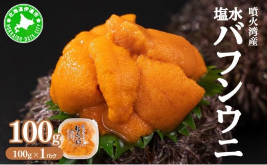 [5525-0661]北海道噴火湾産 塩水 バフンウニ 100g 1パック ミョウバン不使用 厳選 うに ウニ 雲丹 海鮮 海の幸 魚介類 ウニ丼 お寿司 濃厚 無添加 産地直送 産直 お取り寄せ 山村水産 送料無料