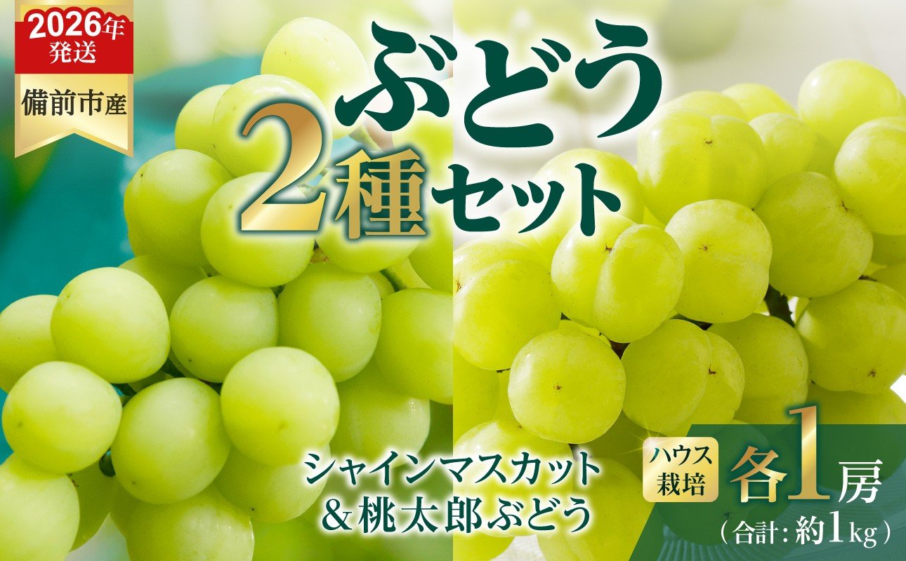 
            【2026年発送分　先行受付開始！】びぜん葡萄「シャインマスカット」「桃太郎ぶどう」（ハウス栽培）各1房入（令和8年8月中旬～9月中旬頃発送）【 岡山県備前市産 シャインマスカット 桃太郎ぶどう ハウス栽培 各１房入 樹上完熟 】
          