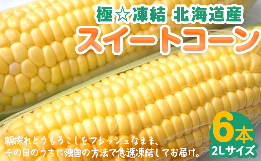 
                  極☆凍結 北海道産 スイートコーン とうもろこし 2Lサイズ 6本入り 【 ふるさと納税 人気 おすすめ ランキング とうもろこし トウモロコシ とうきび トウキビ コーン スイートコーン 甘い 焼きトウモロコシ 焼き  北海道 北斗市 送料無料 】 HOKP001
                