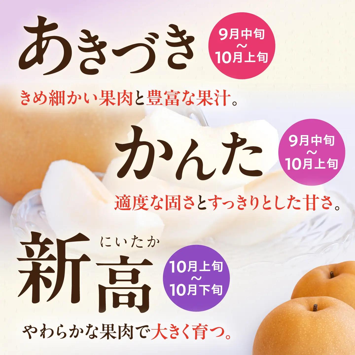 【3回定期便】 朝採り旬の梨 食べ比べ 約5kg/1回 梨定期便 フルーツ定期便 梨 ナシ なし フルーツ 果物 果物定期便 / 大村市 / 産直松吉 [ACZC010]