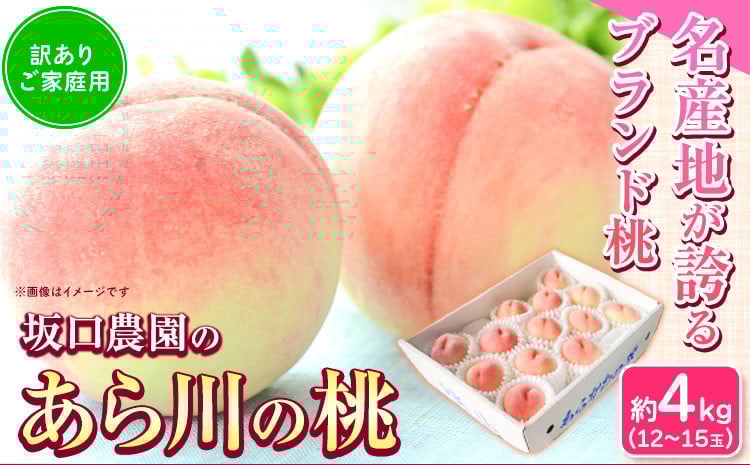 
            桃 あら川の桃 訳あり ご家庭用 4kg 坂口農園《2026年6月下旬-7月下旬頃より出荷予定》 和歌山県 紀の川市 桃 もも モモ 白鳳  川中島白桃 あら川の桃 送料無料
          