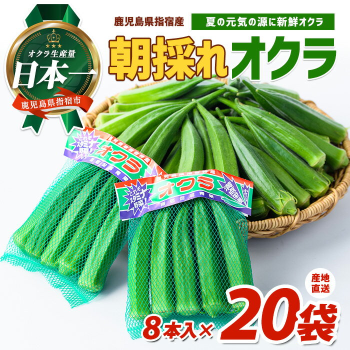 【ふるさと納税】＜期間限定＞鹿児島県指宿市産！朝採れ新鮮いぶすきオクラ(計160本・8本×20袋)おくら オクラ 豆 野菜 鹿児島県 そうめん 納豆 キムチ 【指宿促成青果】
