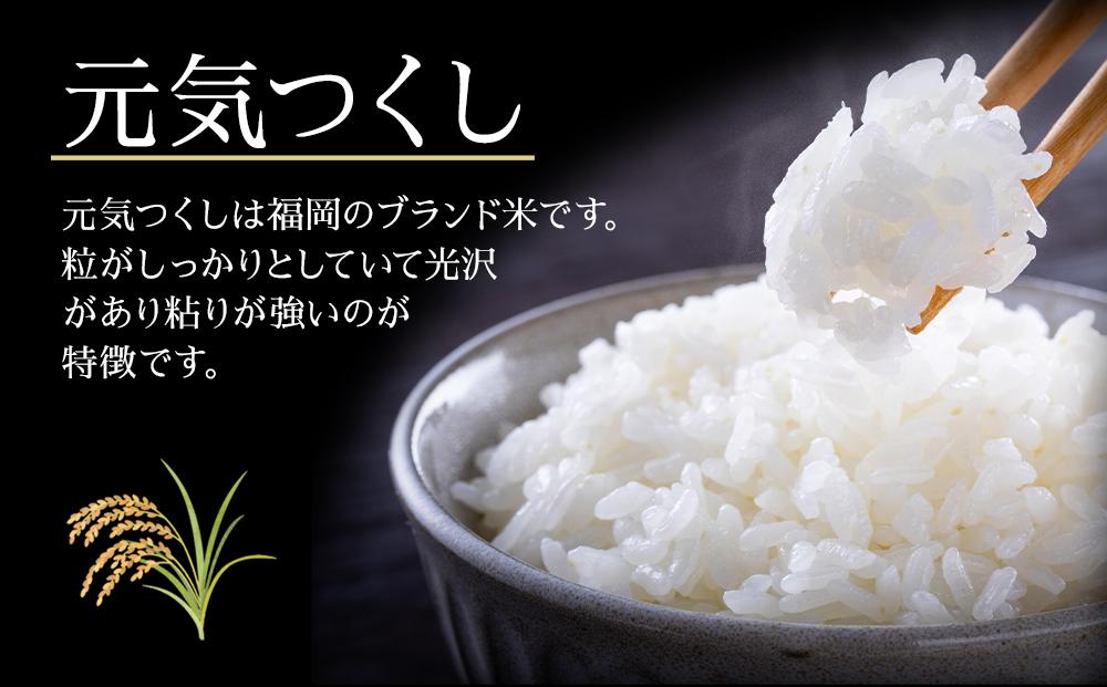 ＜令和7年産新米＞元気つくし無洗米2kg×3袋