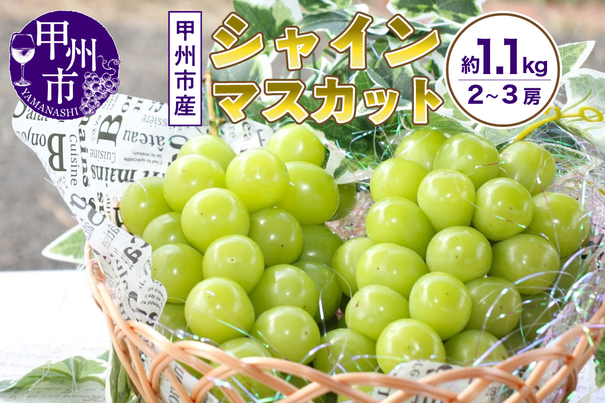 
            【選べる発送年度】山梨の自然が産んだスイートエメラルド甲州市産シャインマスカット！約1.1kg 2～3房【2025年発送】【2026年発送】（UD）B-867 【シャインマスカット 葡萄 ぶどう ブドウ 令和7年発送 令和8年発送 期間限定 山梨県産 甲州市 フルーツ 果物】
          
