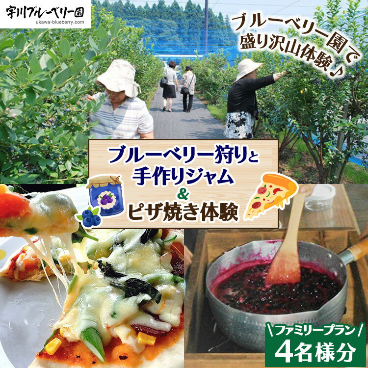【ふるさと納税】【2026年先行予約】【数量限定】ブルーベリー狩りと手作りジャム＆ピザ焼き体験ファミリープラン（4名様分）