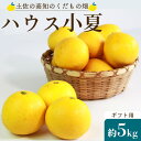 【ふるさと納税】先行予約 土佐の高知のくだもの畑 ハウス小夏 約5kg(ギフト用) - 送料無料 柑橘 果物 くだもの フルーツ こなつ おいしい 国産 贈答用 お礼 御礼 高知県 香南市【常温】kd-0010