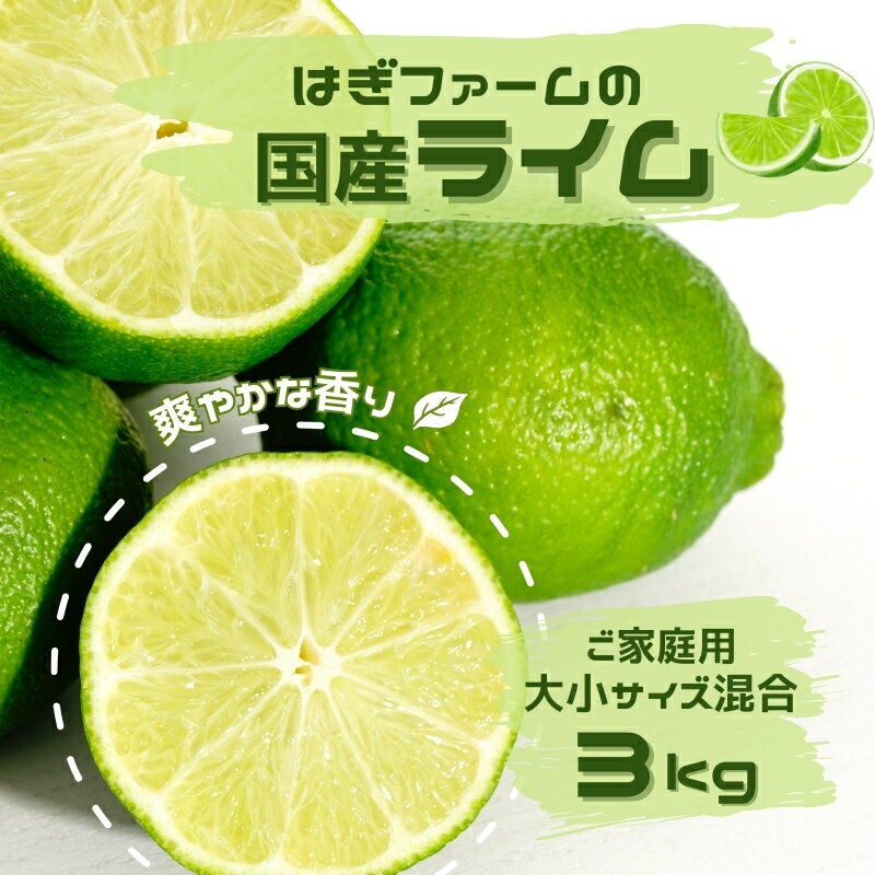 【ふるさと納税】 ご家庭用 ライム はぎファームの 国産 ライム 3kg 大小サイズ混合 (30〜35個前後) 【2025年8月下旬頃から順次発送予定】 らいむ 柑橘 フルーツ 果物 くだもの 香り 薬味 旬 お料理 飲み物 送料無料