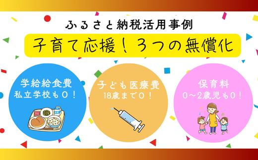 国産 鹿児島県産 紅はるか の 干し芋 100g×5袋と 安納芋 の 干し芋 100g×2袋 計7袋700g 無添加 砂糖不使用 で 子供 にも安心な 小分け 干し芋 おやつ ダイエット にもオススメ！【120日以内配送】【00-098-03-120】