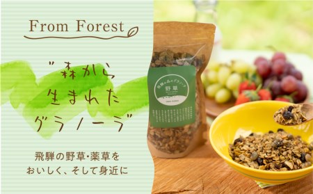 飛騨産野草が入った飛騨の森の グラノーラ　5袋 オートミール 無添加 シリアル 自然派 ハトムギ［Q859］