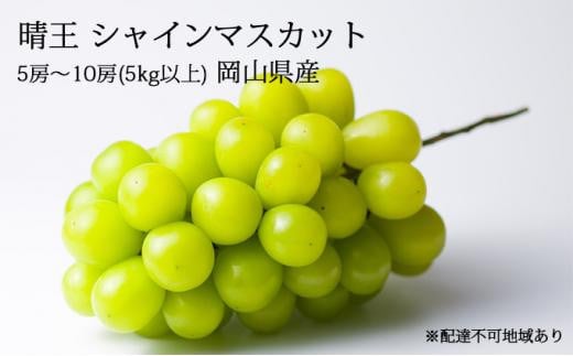 ぶどう［2024年先行予約］晴王 シャインマスカット 5房～10房（5kg以上）岡山県産 [No.5220-1172]