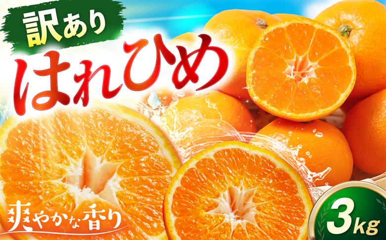 みかん 訳あり はれひめ 約3kg サイズ不揃い【12月上旬から翌年1月上旬まで順次発送】 / フルーツ 果物 蜜柑 ミカン オレンジ 訳あり 訳アリ 小玉 甘い 先行予約 3kg 愛媛 / 愛媛県砥