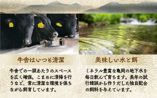 牛肉 京都府産黒毛和牛 亀岡牛 厚切りサーロインスライス 600g≪焼肉 やきにく ステーキ サイコロステーキ 国産 希少 牛肉 京都府産 黒毛和牛 和牛 冷凍 ふるさと納税≫