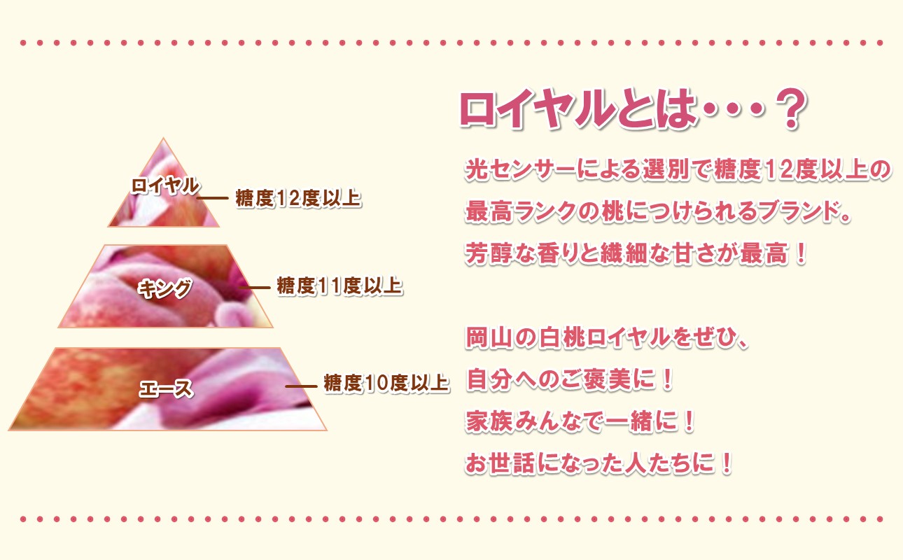 【2027年発送分・先行予約開始！】岡山県産 白桃 最高ランク！「ロイヤル」約1.5kg 5～7玉（令和9年7月以降発送）【先行受付 先行予約 白桃 ロイヤル フルーツ 果物 もも 桃 モモ 岡山県産