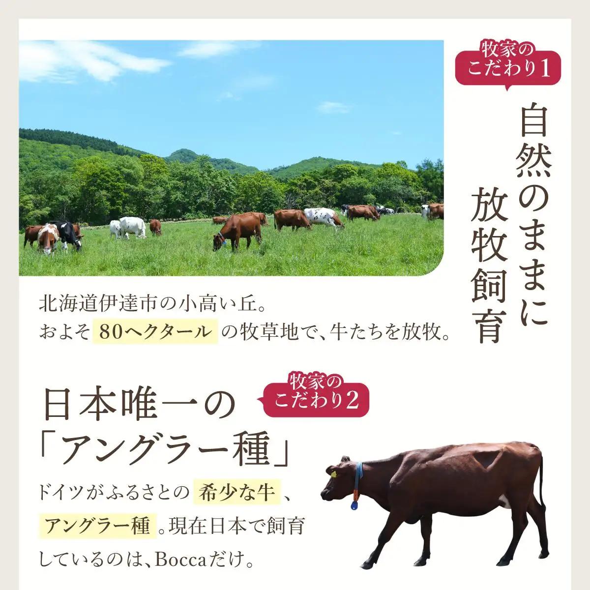 北海道 牧家 Bocca プリン 3種 各4個入 計12個【55250209】