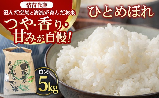 今だけ 数量限定 生活応援価格 令和7年度産 ひとめぼれ 5kg | 人気米 国産 猪苗代産 ブランド米  生産者直送 内野ファーム 精米 ※沖縄・離島への配送不可