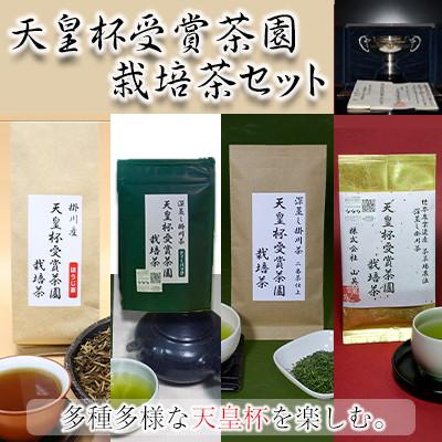 ふるさと納税 掛川市 天皇杯受賞茶園栽培茶セット