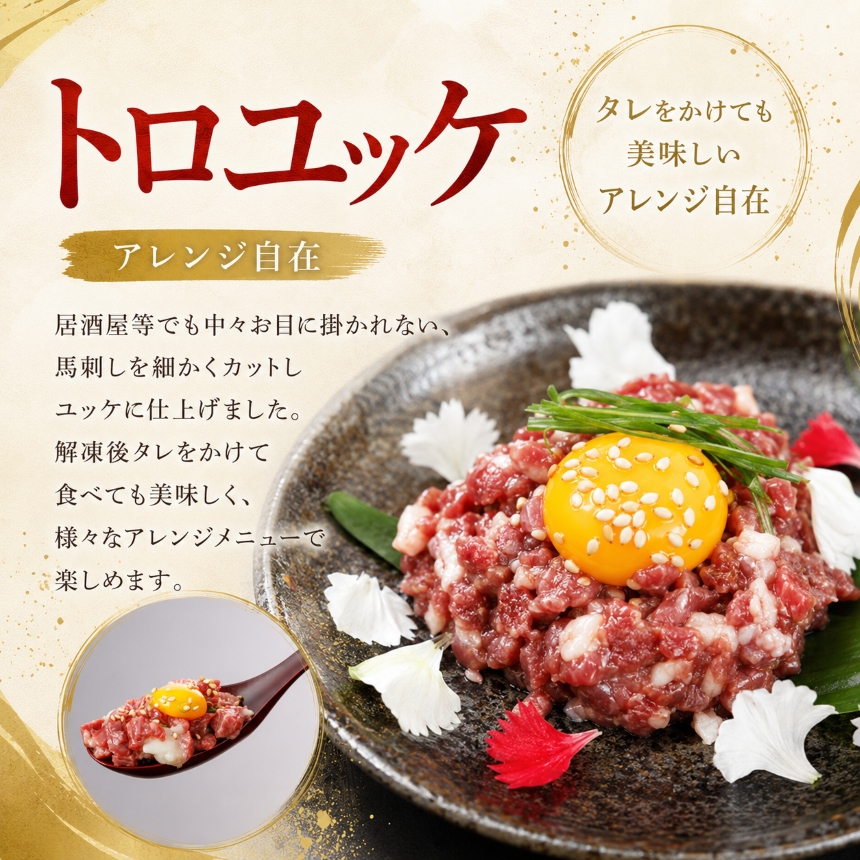 海外産 馬刺し 4種セット 1000g（赤身、フタエゴ、サガリ、トロユッケ） 馬刺しの長野屋 | 馬刺し 赤身 タレ付き 馬刺し 馬刺 長野 信州 馬肉 お肉 刺身 冷凍 真空パック 小分け 送料 無料 伊那 信州【019-25】