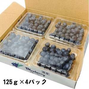 【期間限定】【苅谷果樹園】大粒ブルーベリー(3L～サイズ)約500g　小分けパック　岩手県軽米町【配送不可地域：離島・沖縄県】【1518038】
