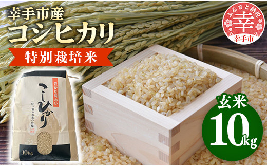 【令和6年産】有機肥料100％ 埼玉県幸手市産特別栽培コシヒカリ 玄米10kg -2024年10月1週目より順次発送 新米発送 コシヒカリ こしひかり 米 玄米 10kg 有機肥料 特別栽培幸手市産 埼玉県 幸手市【価格改定】
