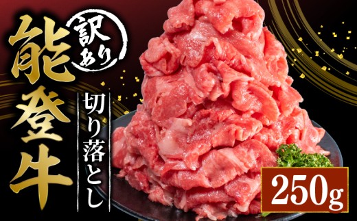 訳あり 能登牛 切り落とし 250g とろける 食感 ブランド和牛 簡易包装 冷凍 石川 羽咋 能登 国産 能登半島 災害支援 復興支援 災害復興