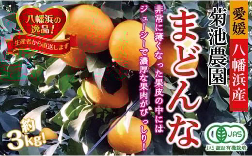 ＜JAS認証有機栽培＞こんな柑橘初めてプルプル新食感「まどんな」約3kg＜C39-25＞【1044609】