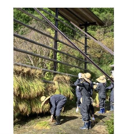 ノンアルコール　甘酒【配送不可地域：離島】【1730769】