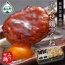 【ふるさと納税】みつせ鶏 つくねギフトセット【つくね バーベキュー BBQ 焼き鳥 酒の肴 炭火焼 低脂質 ヘルシー 旨味成分 柔らか 歯ごたえ お中元 お歳暮 ギフト】 A4-R064003