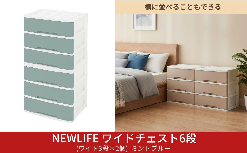 
                  NEWLIFE ワイドチェスト 6段 (ワイド3段×2個) 幅60cm ミントブルー 収納ケース 衣装ケース プラスチック 新生活 引っ越し 大容量 引き出し プラスチック 収納棚 おしゃれ 押入れ 押し入れ収納 リビング収納 キャスター付 衣類収納 クローゼット【023S092】
                