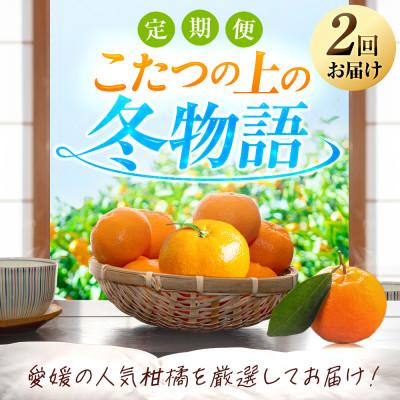 ふるさと納税 八幡浜市 【発送月固定定期便】「こたつの上の冬物語」夕やけみかん+まどんな!【H49-72】全2回 |  | 01