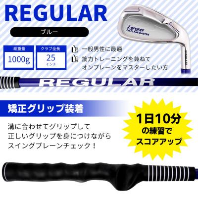 ふるさと納税 東大阪市 [ブルー/矯正グリップ][右利き]オンプレーンマスター 素振り練習用アイアン(レギュラー) |  | 03