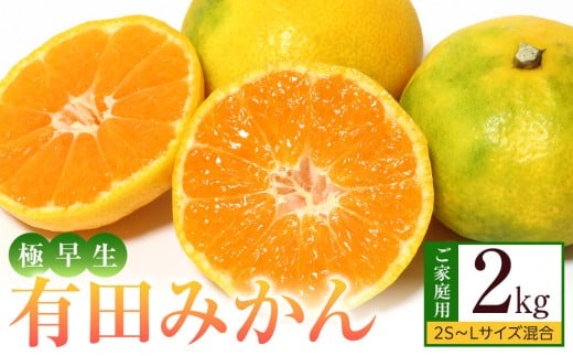 
                  ［先行予約］ご家庭用 極早生 有田みかん 約2kg 2S～Lサイズ混合
                