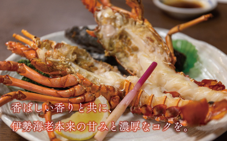 海鮮 福袋 伊勢海老 クエ セット 伊勢海老 クエ