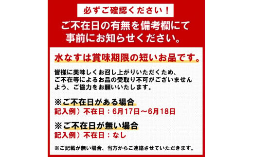 泉州名物 水なす浅漬け 15個【014D-013】