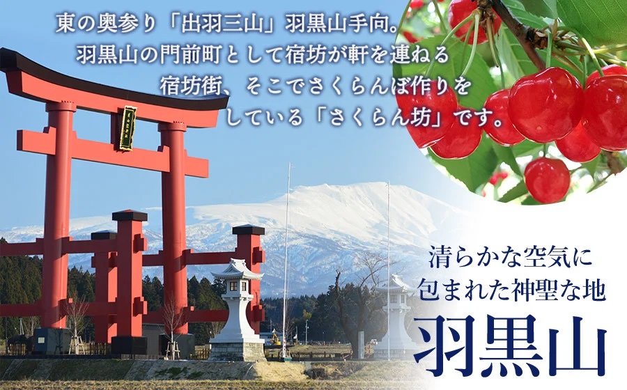 【令和7年産先行予約】佐藤錦 2L～Lサイズ混合 バラ詰め 1kg　小林農園 さくらん坊