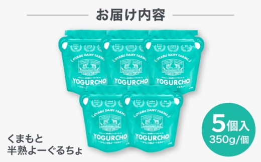 オオヤブデイリーファーム くまもと半熟よーぐるちょ 350g×5個セット ヨーグルト 乳製品【株式会社 オオヤブデイリーファーム】 デザート おやつ よーぐるちょ 朝食 昼食 夕食 よーぐると ヨーグルト[AYAE004]