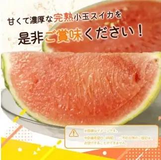 紀州和歌山産 小玉スイカ「ひとりじめ」 1玉 ※2027年5月下旬頃〜6月下旬頃順次発送予定 【uot402-r-1】