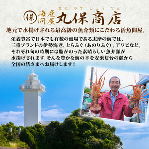 天然 あわび（黒） 【 期間限定 】 1kg アワビ ｜ 鮑